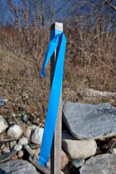 Property corner marker installed during a boundary survey to identify and verify residential property lines.
